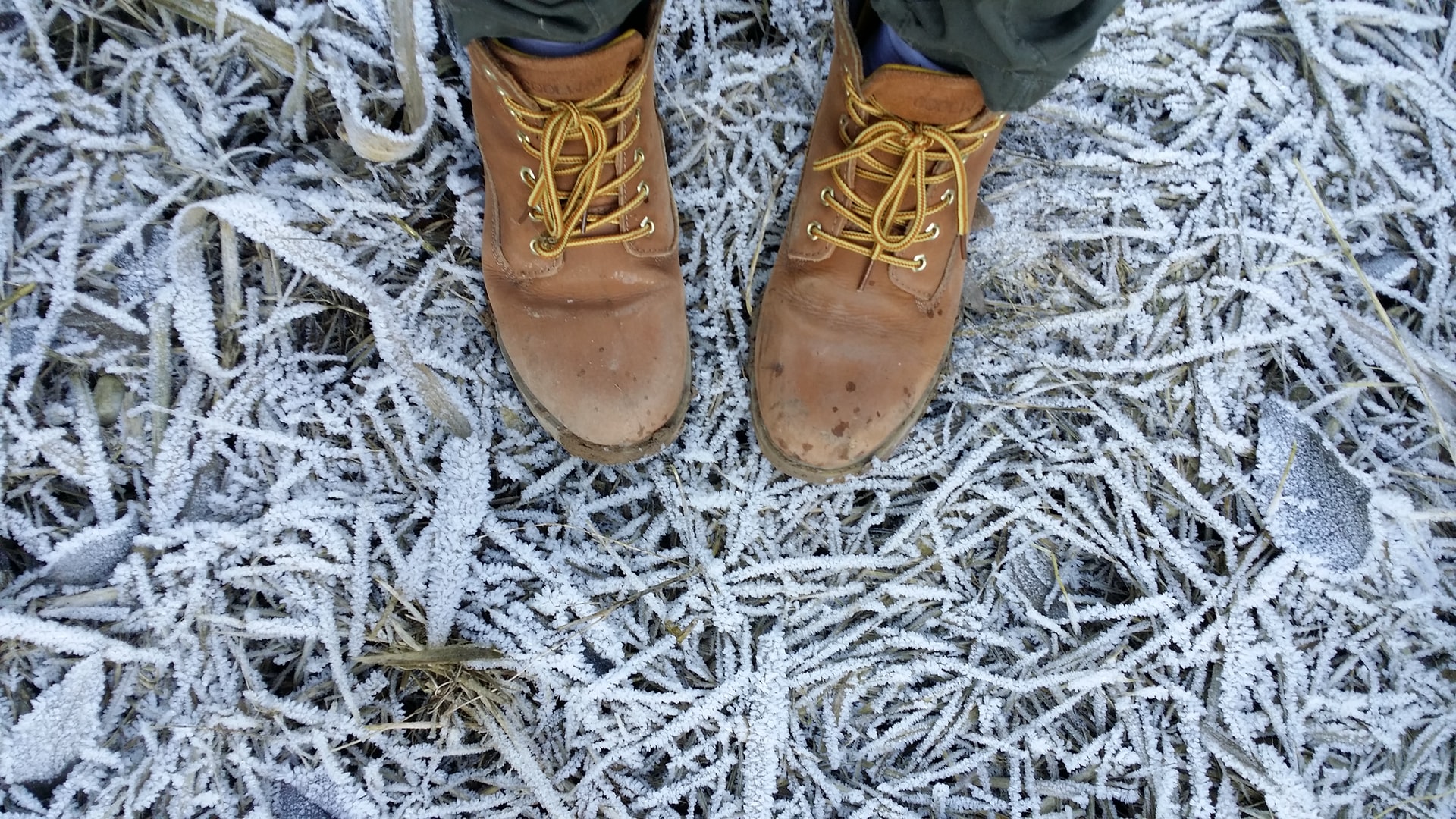 boots