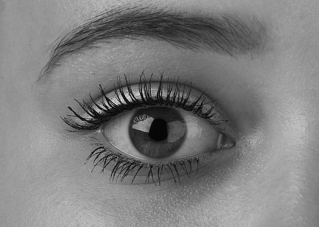 eye