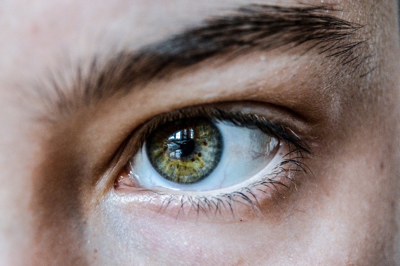 eyebrow
